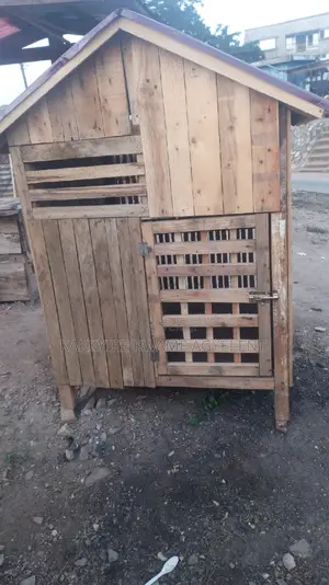 Dogs House