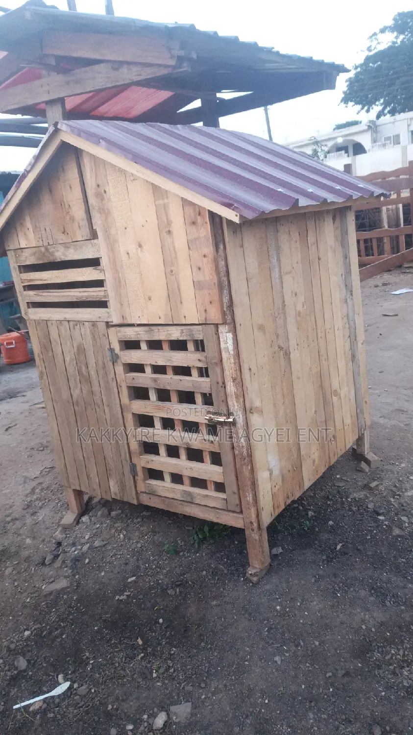 Dogs House