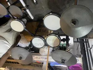 Alesis DM 8 Pro Mesh Electric Drums