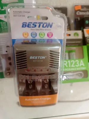 Charger for AA/AAA/9v