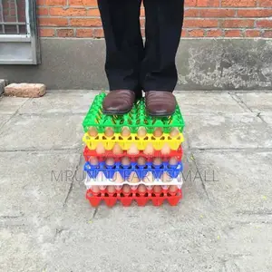 Colourful Plastic Egg Crate