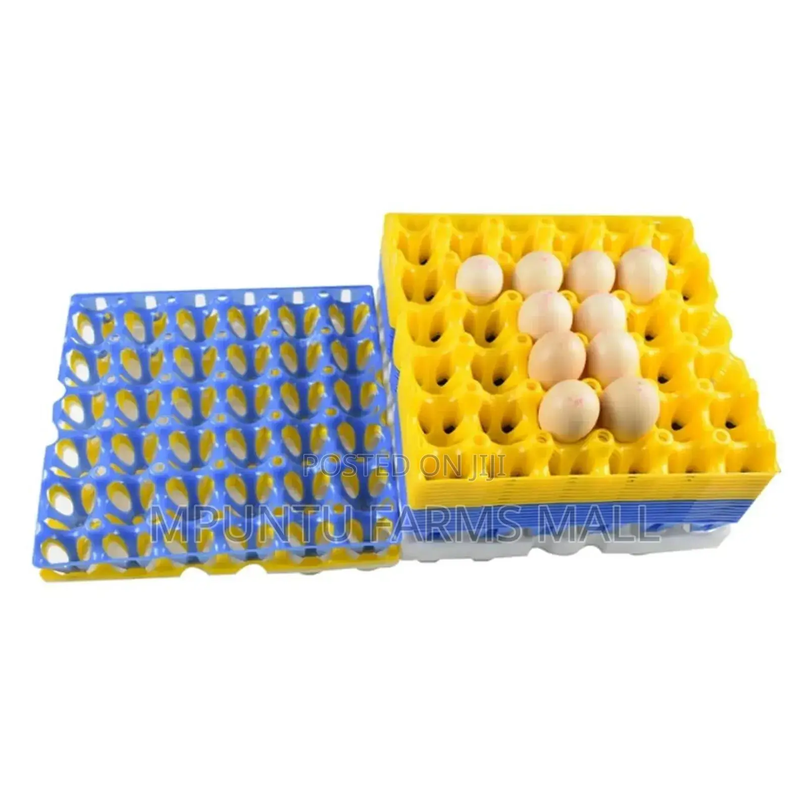 Colourful Plastic Egg Crate