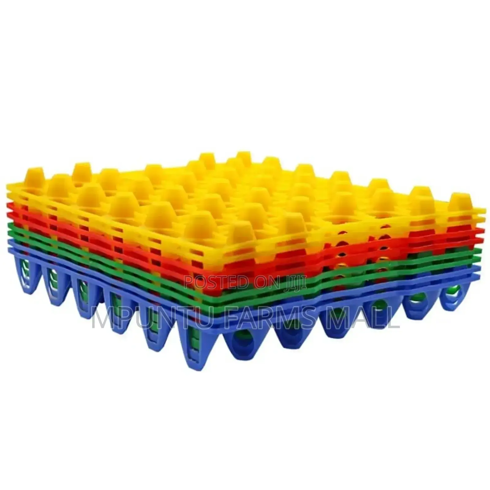Colourful Plastic Egg Crate