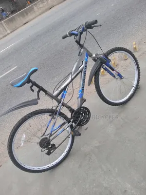 Like Spring Bike