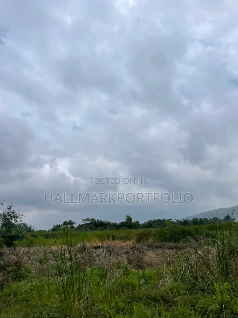 2 Plots of Titled Land Danfa