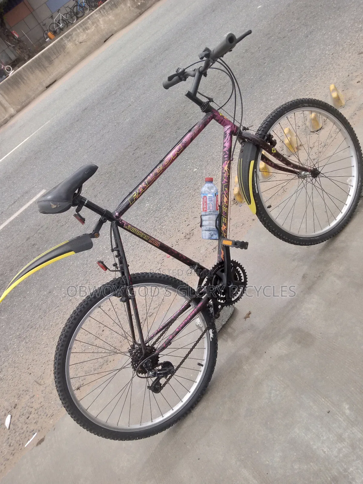 Mountain Stronger Bike