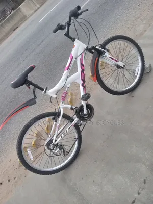 24 Middle Age Bike