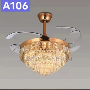 Fan With Light