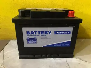 13 Plates 55ah Pofirst Car  Battery