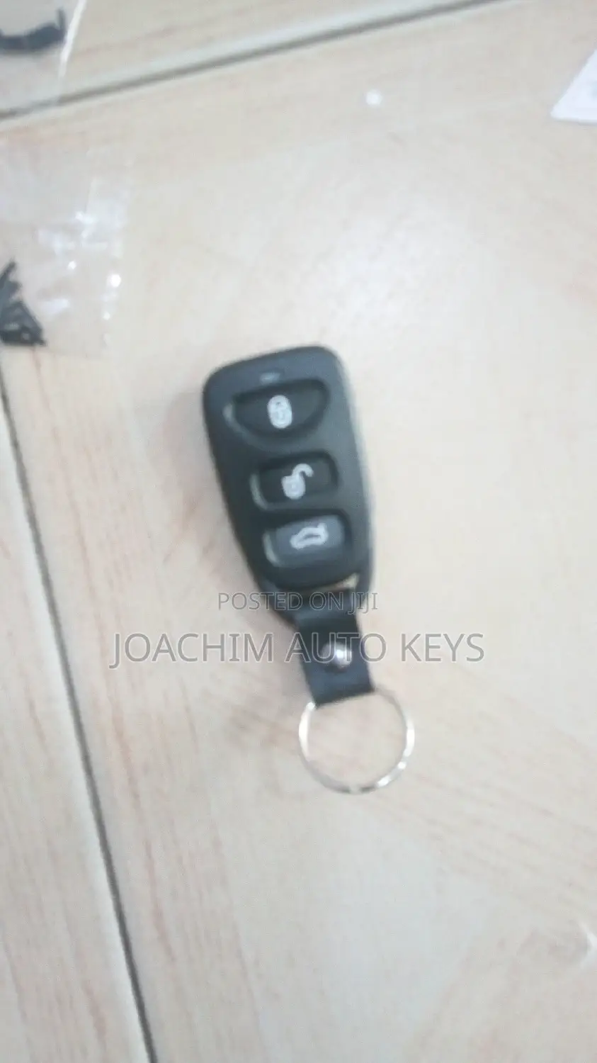 Hyundai Elantra , Sonata Remote
