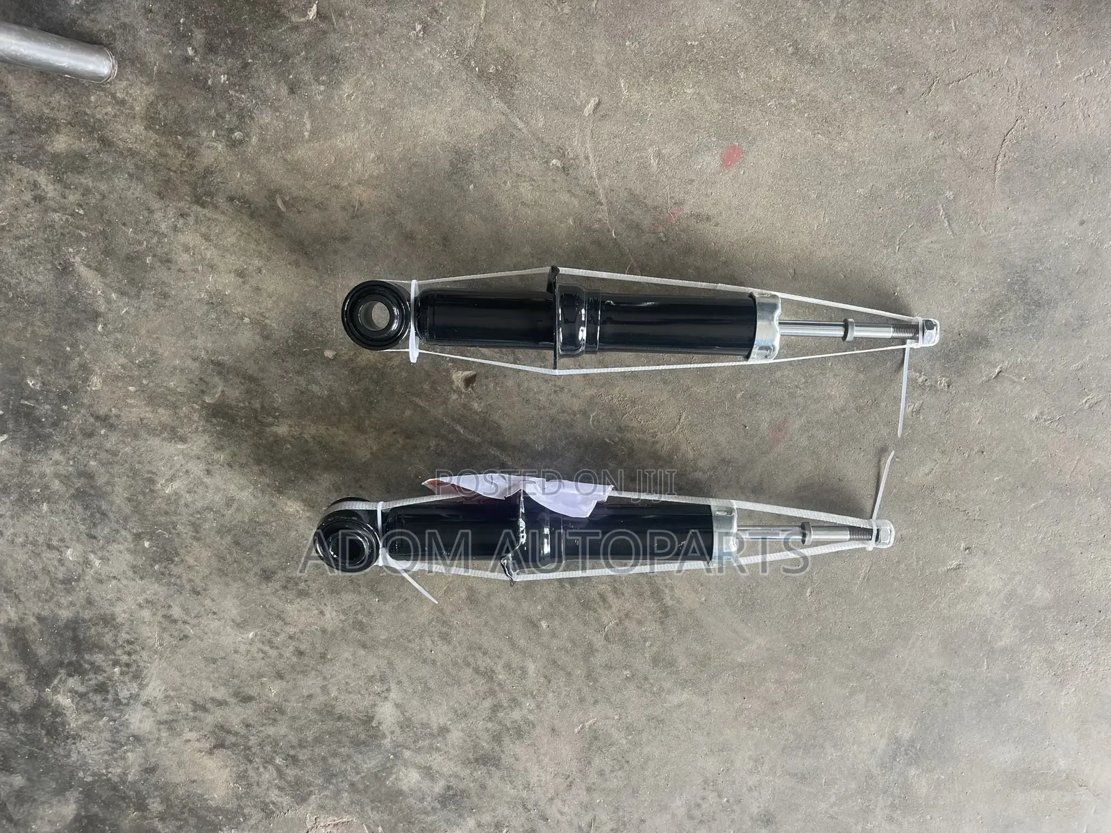 Corolla Back Shocks 2002 2003 2004 2005 2006 2007 2008