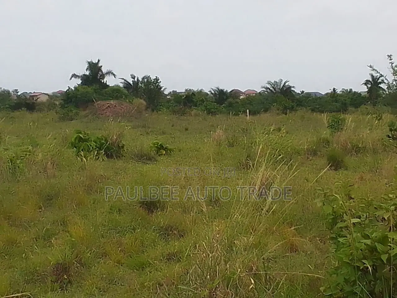 Land for Mining Gold and Diamond for Rent