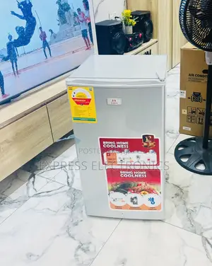 Newly Single Four Grey Color Fridge Zara