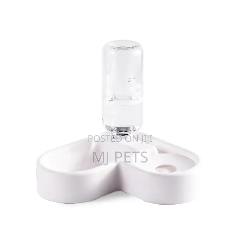 Dog Food and Water Bowl