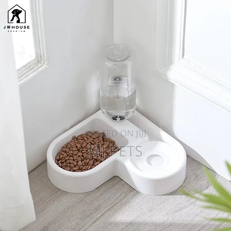 Dog Food and Water Bowl