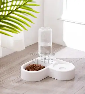 Dog Food and Water Bowl