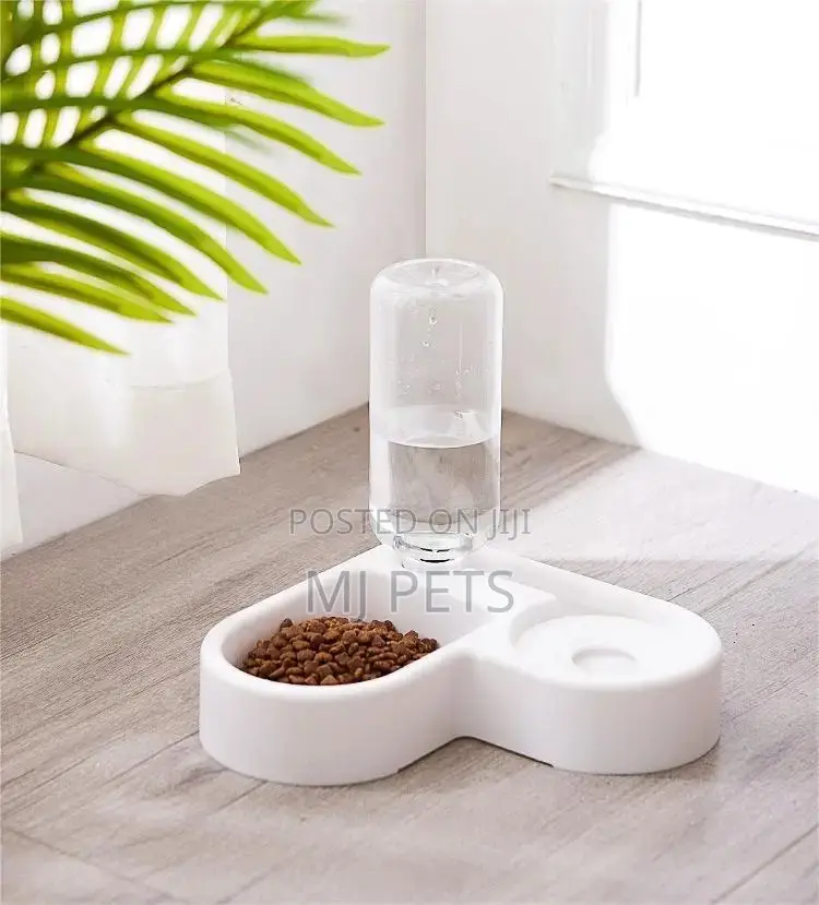 Dog Food and Water Bowl