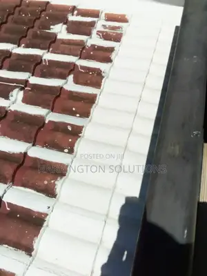 Roof Leakage Repairs Sale of Waterproofing Materials