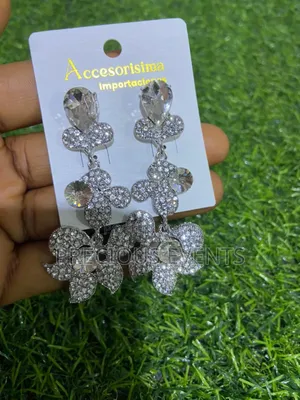 Silver Fashion Earrings
