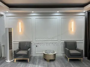 Professional Installer and Trainer of 3d Wall Moulds