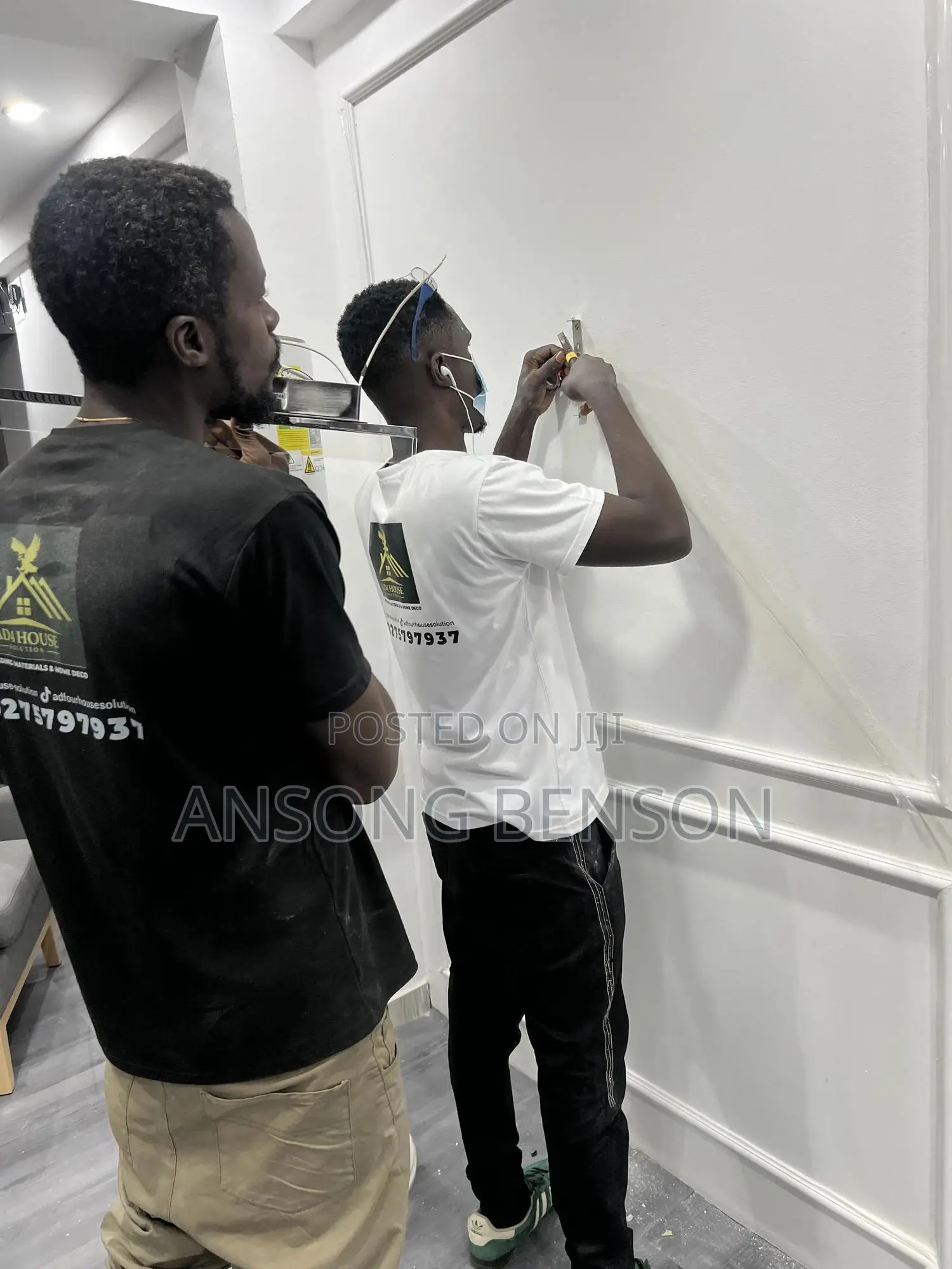 Professional Installer and Trainer of 3d Wall Moulds