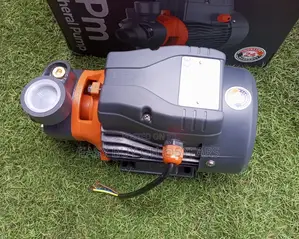 Leo Petrol Water Pump Quality Engine High Pressure Waterpump