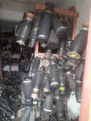 Some of the Shocks Absorbers
