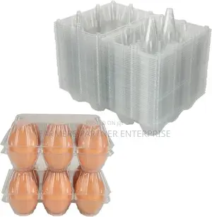 Transparent Egg Crates 6pcs
