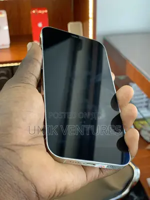Apple iPhone 12 Pro Max 512 GB Silver
