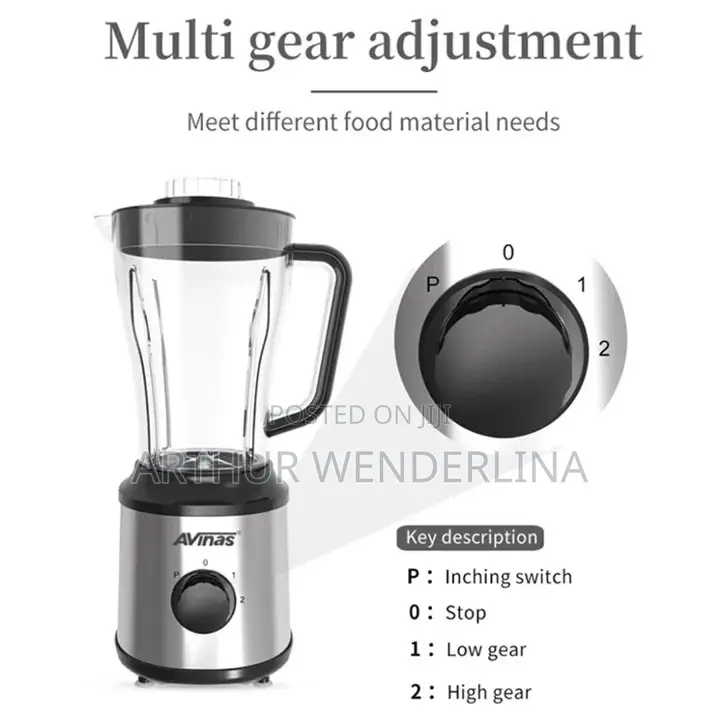 AVINAS 2 in 1 Multi-Function Electric Blender