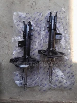 Hyundai Elantra 2008 To 2010 Front Shocks Absorbers