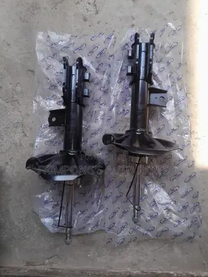 Hyundai Elantra 2008 To 2010 Front Shocks Absorbers
