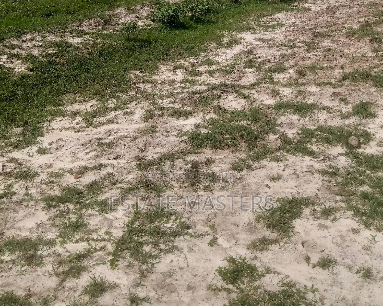 Established Real Estate Lands for Sale