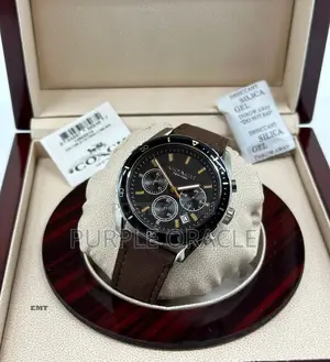 Coach Classic Leather Strap Watch for Men