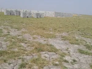 Efo Kpakpa Land Available at Ningo Prampram