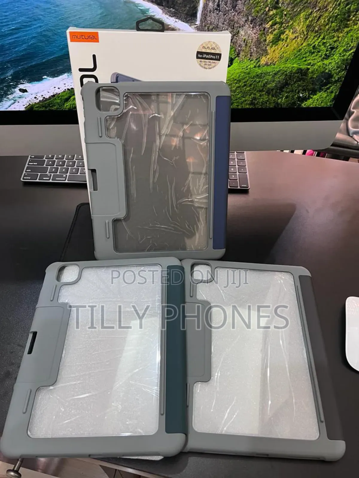 iPad Pro 11 Case
