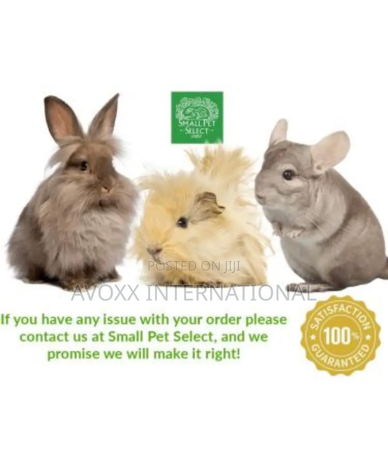 Aspen Bedding Small Animals Bedding