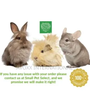 Aspen Bedding Small Animals Bedding