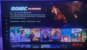 Netflix Account 1 Month Subscription