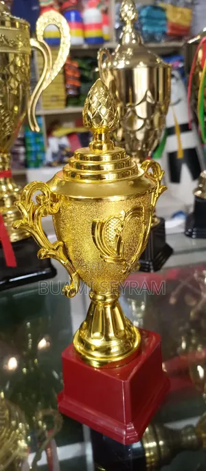 Football Trophy