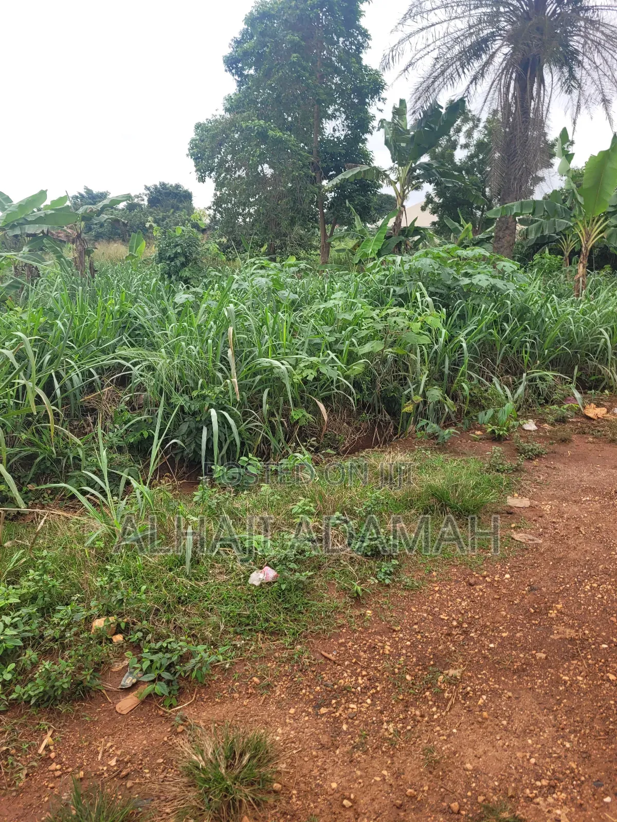Two Plots of Land for Sale at Santa'si Darko