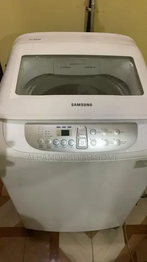 Champion Washing Machine Specialist