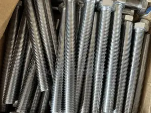 Stainless Bolt / Nut