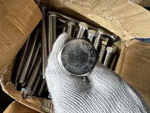Stainless Bolt / Nut