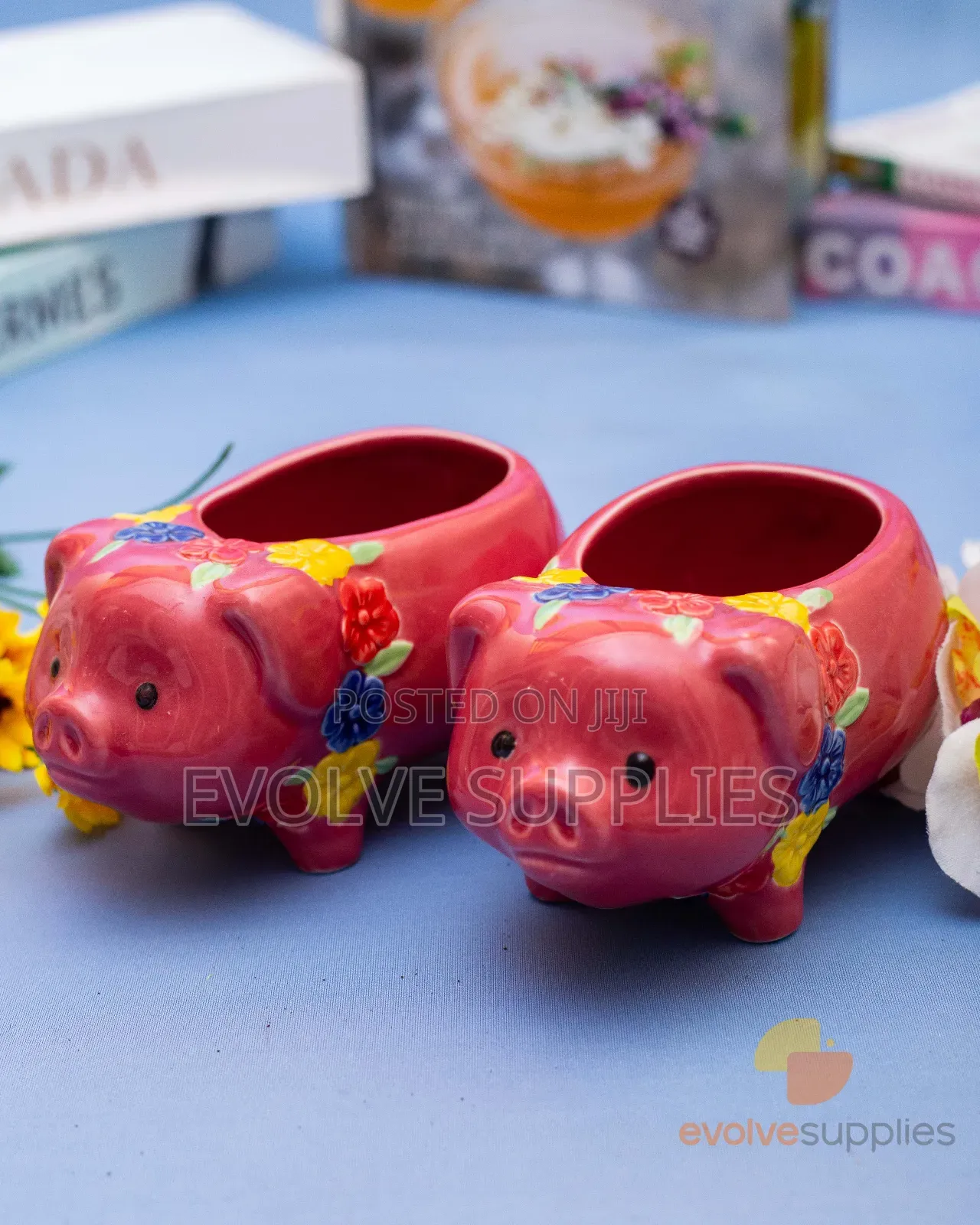 700ml Piglet Theme Glasscup