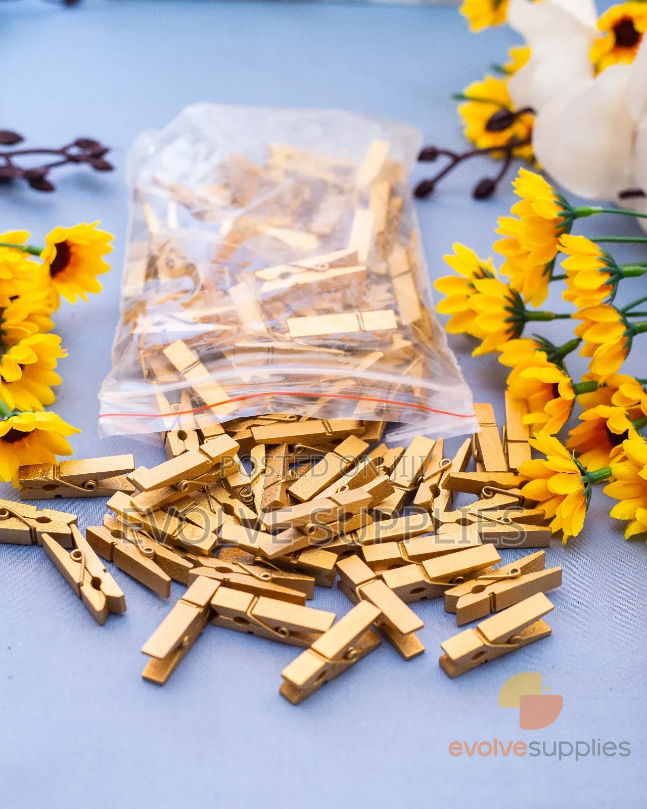 3.5cm Gold Coloured Pegs (100pcs)