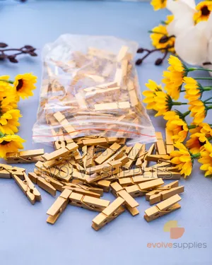 3.5cm Gold Coloured Pegs (100pcs)