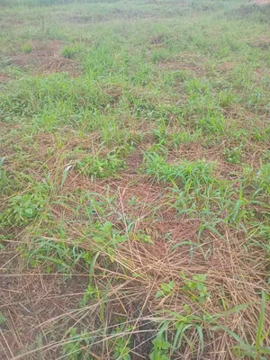 Farmland for Sale