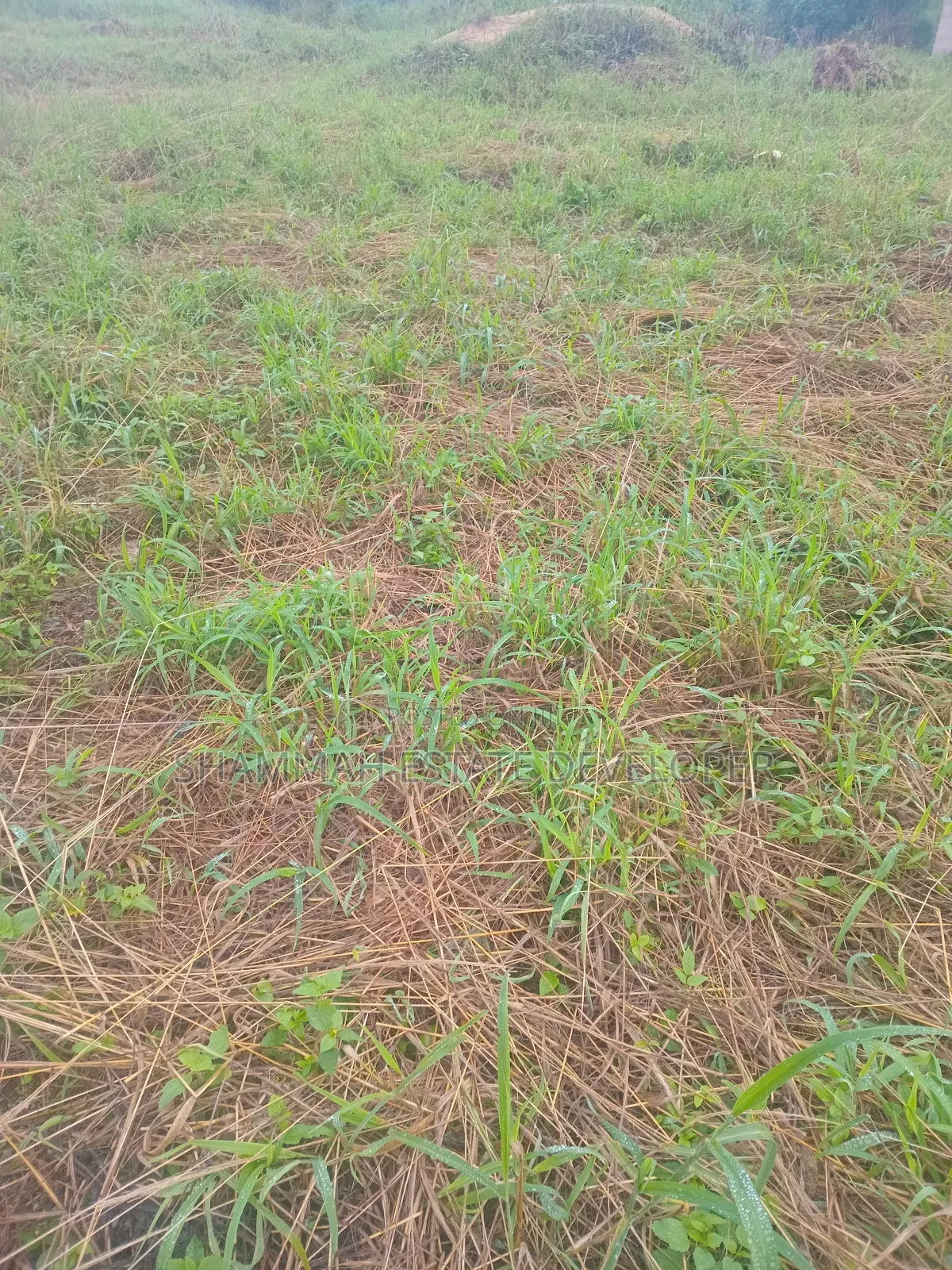 Farmland for Sale