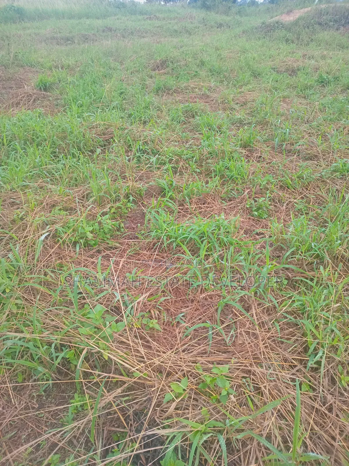 Farmland for Sale